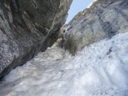 nel budello