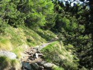 parte centrale del sentiero