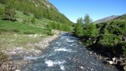 il torrente Aigue Agnelle visto dal ponticello in legno che lo attraversa (23-6-2013)