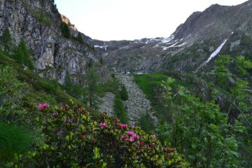 in vista dell'Alpe Asinello