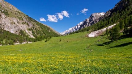 Prati fioriti nei pressi di Grange Thuras