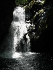 Alby sempre di bolina!