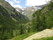 Dal Pugnon, vista verso l'inizio del Pian d'Azaria