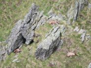 Famigliola in siesta