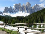 Odle alla partenza
