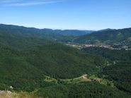 Le lussureggianti faggete del Bardinetese