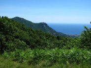 Dalla sella vista su Ravinet e San Pietro ai Monti