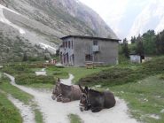 07 - Refuge Le Carrellet