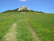 parte bassa della salita al Corno Bianco