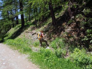 bivio sentiero quota 1845