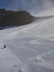 il muro finale lavorato dai gatti e poi...dal cane