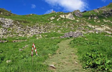 Sentiero sfalciato per la gara di Domenica