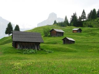 fienili