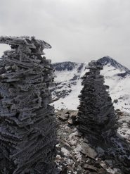 01 - galaverna in cima