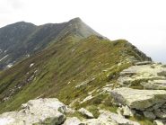 Verso l'Angiolino ed il Vaccarezza