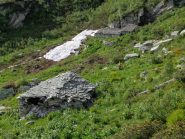 alpeggio sotto al colle di Pian Pertus