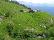 alpi Letusa