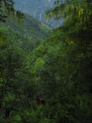 immersi nella natura...pure troppo