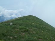 garlenda