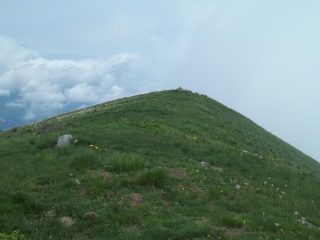 garlenda