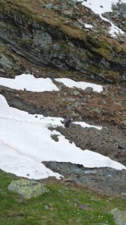 si comincia il portage