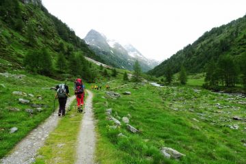 risalendo la Val Carassino...01 (29-6-2013)