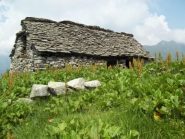 Alpe Vergnana