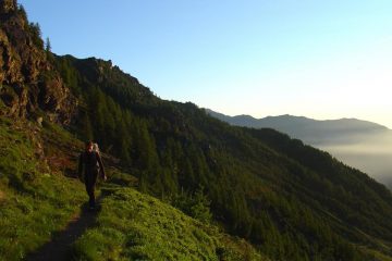 nel primo tratto piena estate