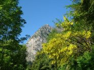 Rocca S.Giovanni e Maggiociondolo