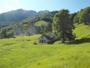 Alpe Vei