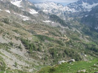La nuova poderale