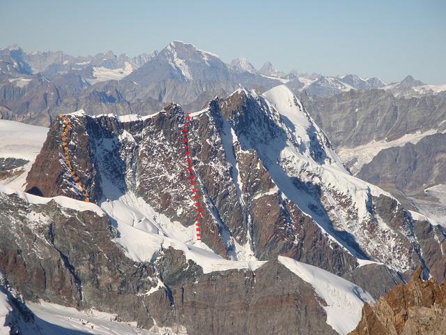 Perlaice 83 in arancione