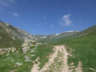 Vallone