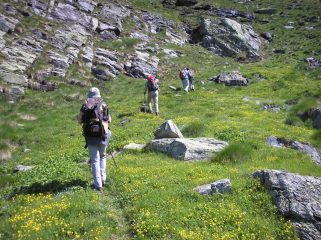 sentiero molto ben segnato