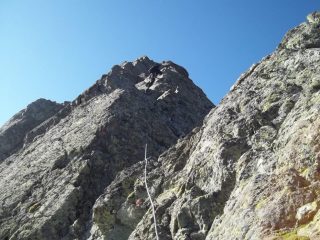 bella cresta