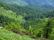 Il bel laghetto nel bosco delle Navette