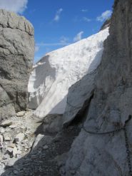 Passaggio obbligato nel frigo!