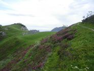 Arrivando al Colle del Prel...