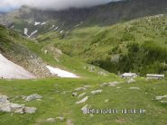 bergeria dell'Albergian