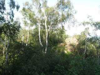 ebbene si e' una cresta