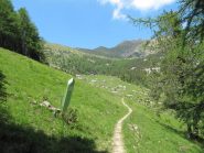 in vista della cima 
