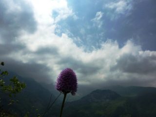 le previsioni davano sole a palla!