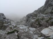 Solo nebbia...