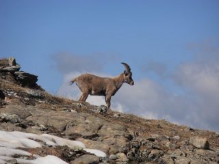 08 - uniche presenze di giornata