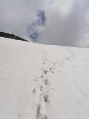 11 - arrivo sulla dorsale a quota 3005, che fatica con la neve pesante...