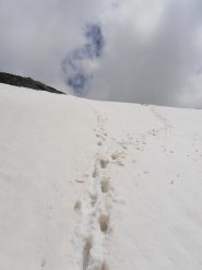 11 - arrivo sulla dorsale a quota 3005, che fatica con la neve pesante...