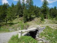 il ponte sul rio Servierettes