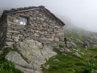 Casolari