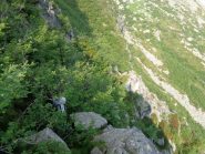 Blin apre pista nell'esposto traverso in discesa verso l'alpe Gran Vallotta