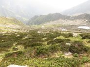 Discesa dell'alta comba Gran Vallotta